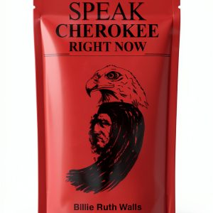 Phonetics Workbook Native Voices Kindle eBook 40pg-0
